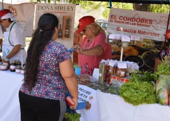 Tarjeta alimentar: el Gobierno detalló cuánto cobrarán las familias desde el próximo mes