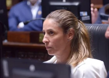 Proponen que los no residentes paguen por la salud y la educación pública en CABA