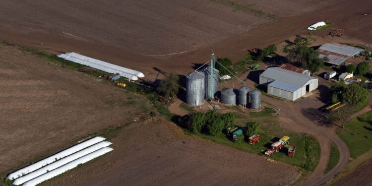 Los productores deberán informar dos veces al año su stock de granos