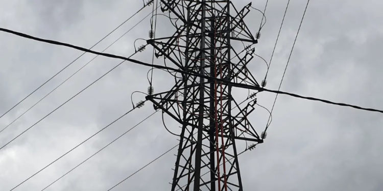 Costo de la luz: Edenor y Edesur piden equiparar sus tarifas con las del resto de las provincias