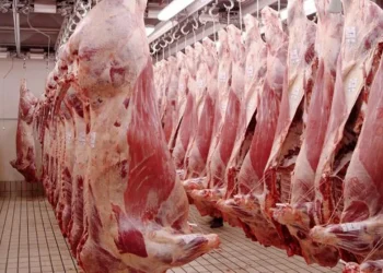 Carne, nuevo frente inflacionario: las medidas de Economía y expectativas sobre la evolución de los precios