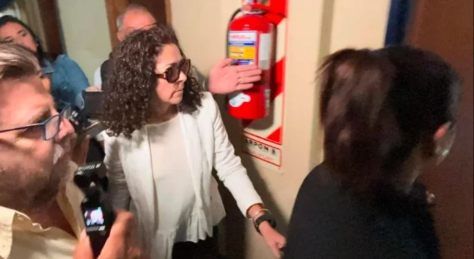 Causa de violencia de género contra Alberto Fernández: declara la ex niñera del hijo