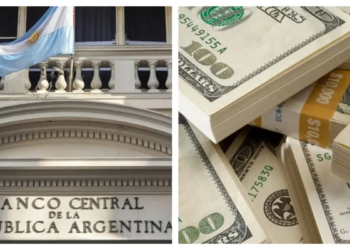 Dólar oficial: el BCRA flexibiliza la compra para un grupo de empresas