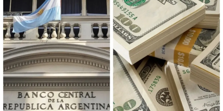 Dólar oficial: el BCRA flexibiliza la compra para un grupo de empresas