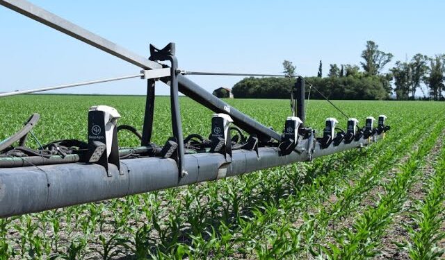 Algunas empresas de Brasil ponen sus ojos en Argentina para invertir en el sector agrícola y forestal