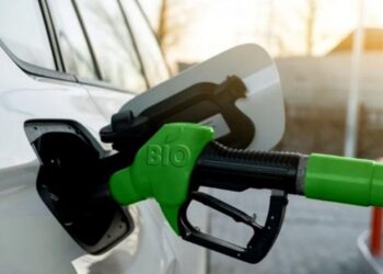 Volvieron a aumentar los biocombustibles