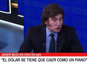Milei apuntó contra Cavallo por las críticas hacia el programa económico