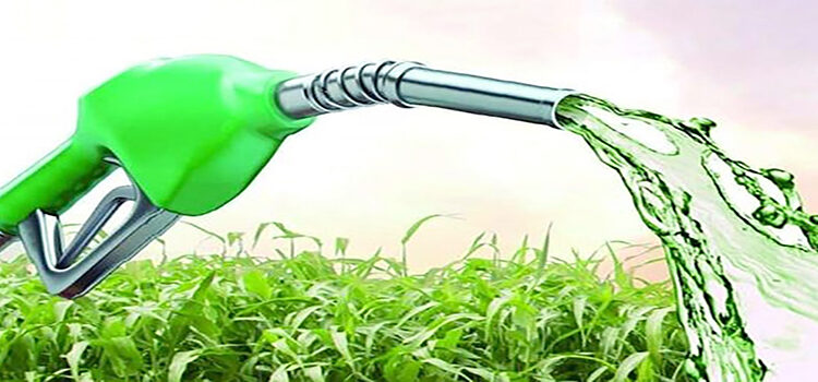 Gobierno de Milei: nueva suba a biodiésel.