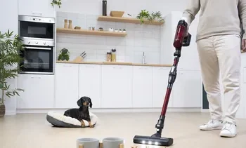 Boom importaciones: empresarios van por “ley anti Shein”.