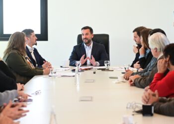 Ariel Sujarchuk presentó proyectos de ley contra la reiterancia de detenidos y para frenar la venta libre de armas semiautomáticas