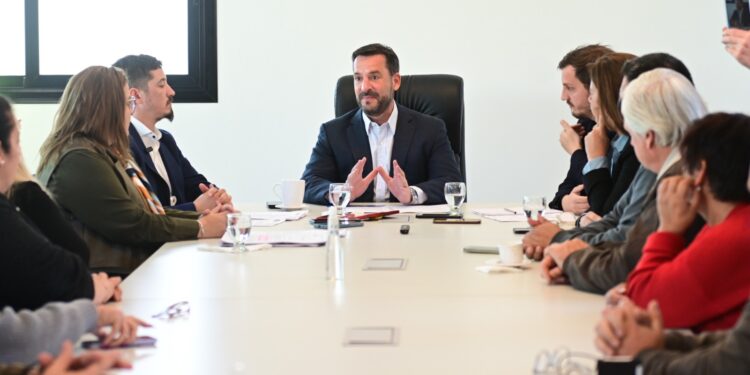 Ariel Sujarchuk presentó proyectos de ley contra la reiterancia de detenidos y para frenar la venta libre de armas semiautomáticas