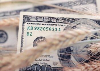 Retenciones cero en la mira de EEUU