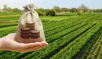 Granos: U$S 7 mil millones y retenciones eliminadas.