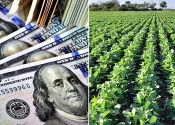 Retenciones: La mesa de diálogo se activa.