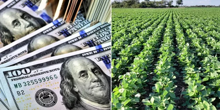 Retenciones: La mesa de diálogo se activa.