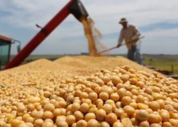 El campo demanda fin de retenciones y apertura comercial.