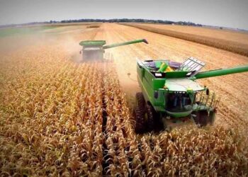 Campo argentino: Desregulación oficial.