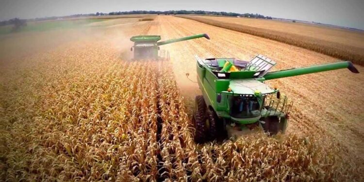 Campo argentino: Desregulación oficial.