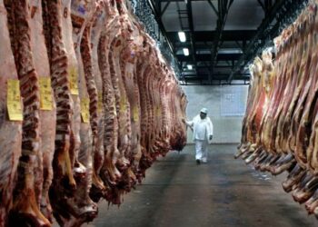 80.000 toneladas: la nueva cuota de carne argentina en EEUU