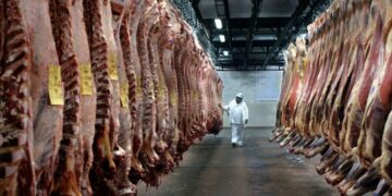 80.000 toneladas: la nueva cuota de carne argentina en EEUU