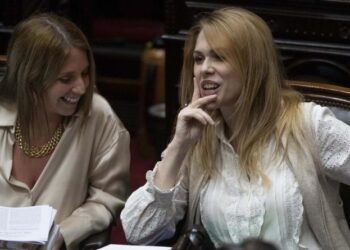 Pelea en el Congreso: Lemoine y Moreau, un cruce insólito.