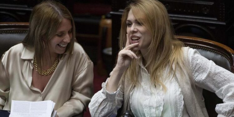 Pelea en el Congreso: Lemoine y Moreau, un cruce insólito.