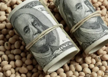 Dólar: El impacto de las retenciones cero en octubre.