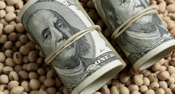 Dólar: El impacto de las retenciones cero en octubre.