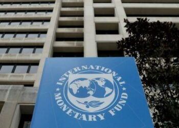 Exfuncionario del FMI cuestiona a Milei.