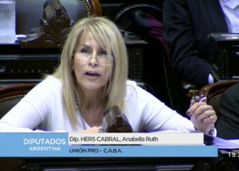 Los proyectos de ley de Anabella Hers Cabral.