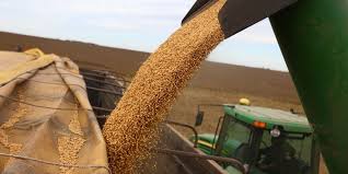 Anuncian baja de impuestos a los granos.