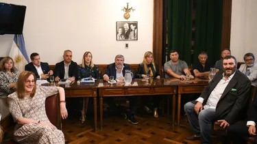 El Senado tratará la reforma: ¿Qué estatutos se caen?