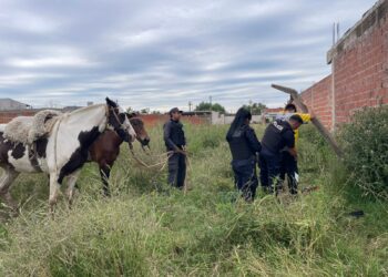 La Policía Municipal de Escobar, clave para resolver casos de narcomenudeo