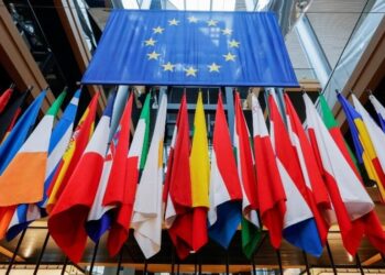 Europa Impulsa el Mercosur sin Aval de su Parlamento.