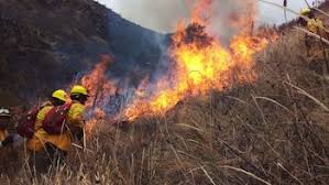 Avance contra el fuego en Chubut, según Torres.