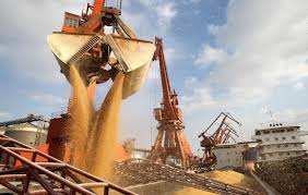 Exportaciones que bancan el boom de las importaciones