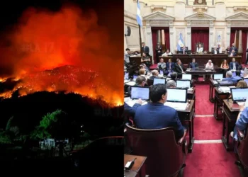 Fuego en el Sur: Buscan la ley de Emergencia Ígnea.