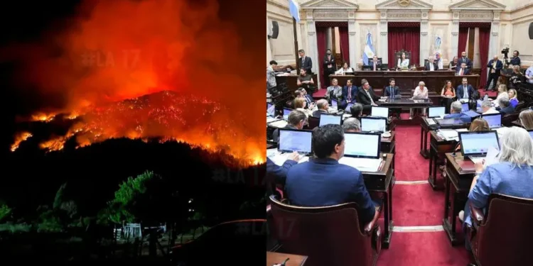 Fuego en el Sur: Buscan la ley de Emergencia Ígnea.