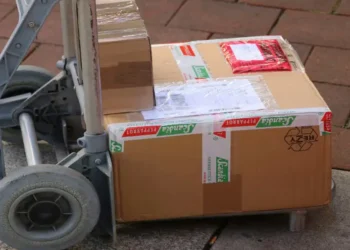 Las compras por plataforma dispararon el courier (274%).
