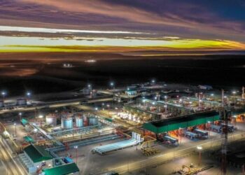 Pluspetrol propone una inversión de US$12.000 millones en Vaca Muerta, busca adherir al RIGI