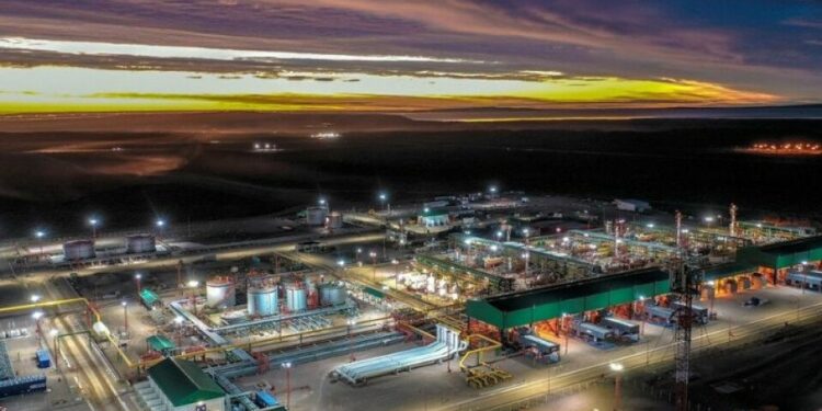 Pluspetrol propone una inversión de US$12.000 millones en Vaca Muerta, busca adherir al RIGI