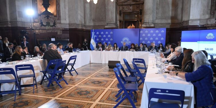 El Senado reanuda el debate sobre la reforma de la ley de salud mental con más de 30 expositores