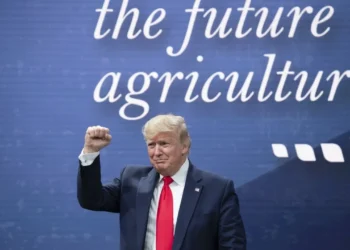 Medida innovadora: el gobierno de Trump promueve un plan de incentivos para la agricultura regenerativa