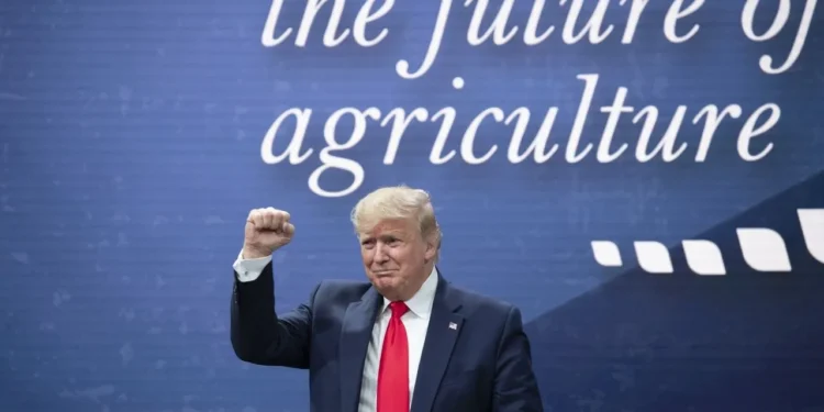 Medida innovadora: el gobierno de Trump promueve un plan de incentivos para la agricultura regenerativa