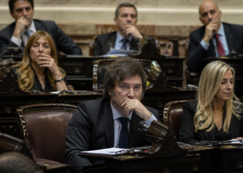 La Libertad Avanza busca proteger la ley Hojarasca en el Senado para preservar su influencia