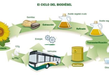 Biodiésel: ampliando las oportunidades