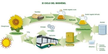 Biodiésel: ampliando las oportunidades