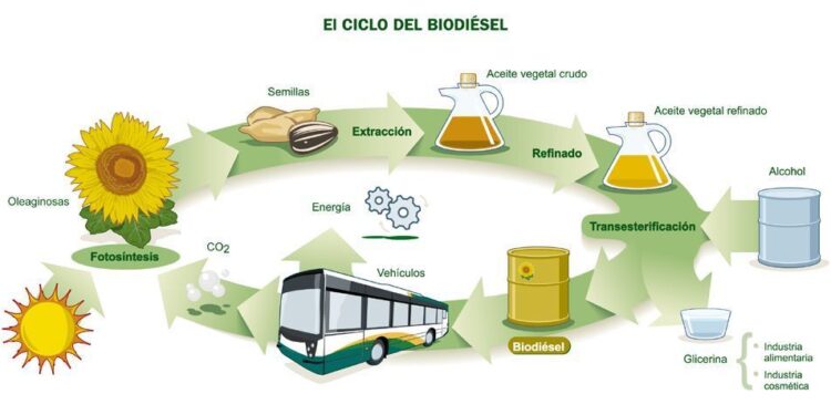 Biodiésel: ampliando las oportunidades