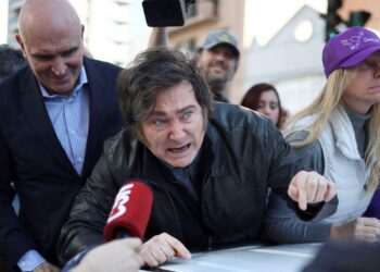 Un análisis sugiere la conexión entre la imagen de Milei y la baja tolerancia al ajuste económico