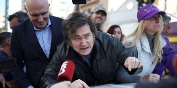 Un análisis sugiere la conexión entre la imagen de Milei y la baja tolerancia al ajuste económico